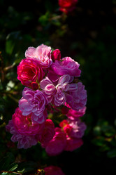 Similar image 21216177