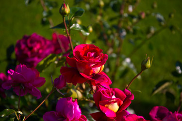 Similar image 21216178