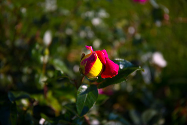 Similar image 21216179