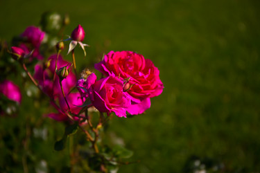 Similar image 21216180