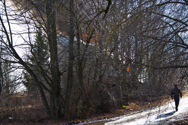 Similar image 21216191