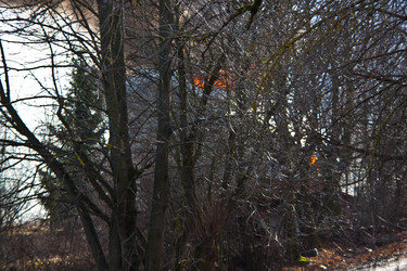 Similar image 21216192