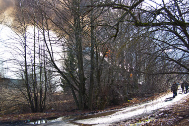 Similar image 21216194