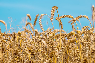 Similar image 21249361