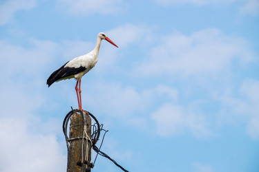 Similar image 21249362