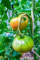 Similar image 21249371