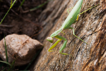 Similar image 21235709