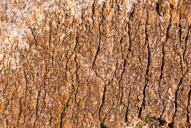 Similar image 21235713