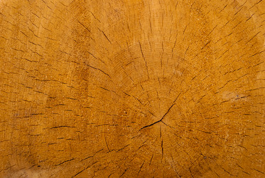 Similar image 21235716