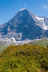 Similar image 21242854