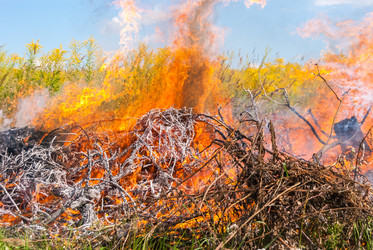 Similar image 21242911