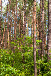 Similar image 21242922