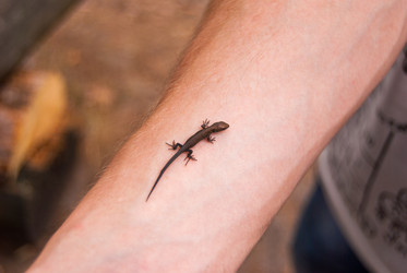 Similar image 21242923