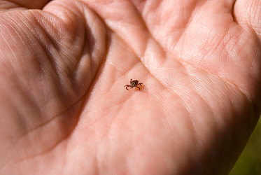 Similar image 21242925