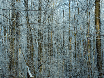 Similar image 21242939