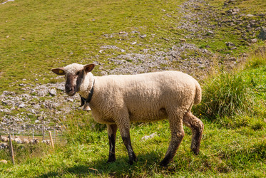 Similar image 21242944