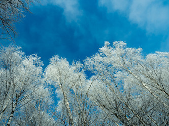 Similar image 21242960