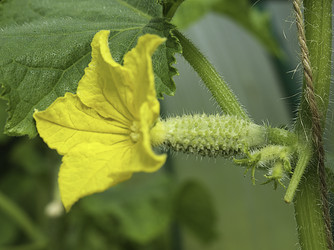 Similar image 21220482