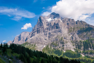 Similar image 21242963