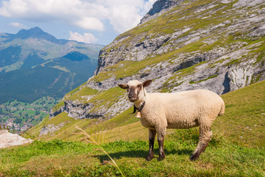 Similar image 21242965