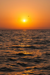 Similar image 21242973