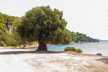 Similar image 21242975