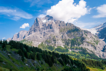 Similar image 21235743