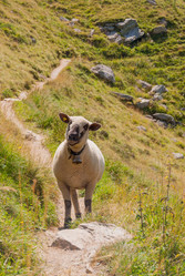 Similar image 21235745