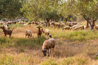 Similar image 21235759