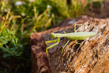 Similar image 21242862