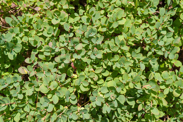 Similar image 21242982