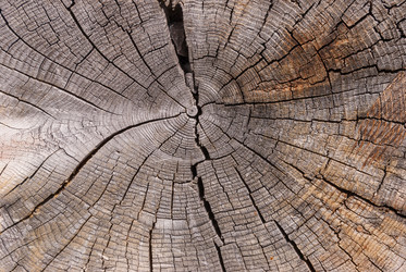 Similar image 21242984