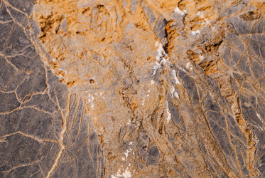 Similar image 21242986