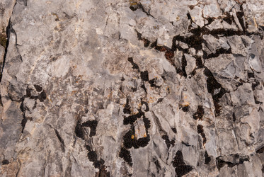 Similar image 21242987