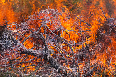 Similar image 21242990