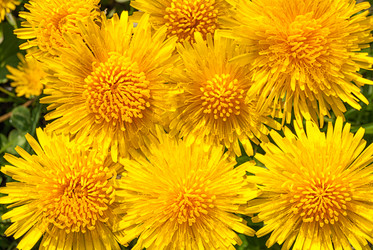 Similar image 21235662