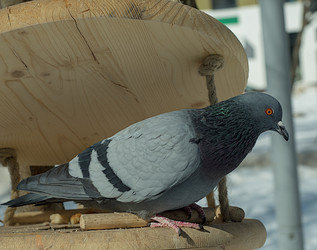 Similar image 21235664