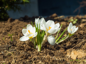 Similar image 21235762