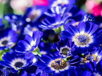 Similar image 21242863