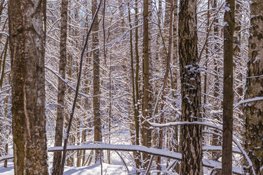 Similar image 21243000