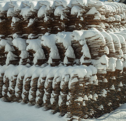 Similar image 21243005