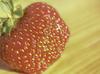 Similar image 21243009