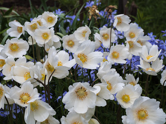 Similar image 21243013