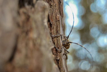 Similar image 21220592