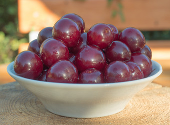 Similar image 21235666