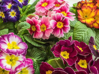 Similar image 21235667