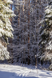 Similar image 21235791