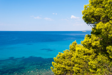 Similar image 21242867