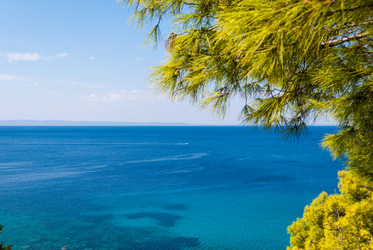 Similar image 21243016