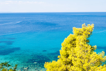 Similar image 21243018